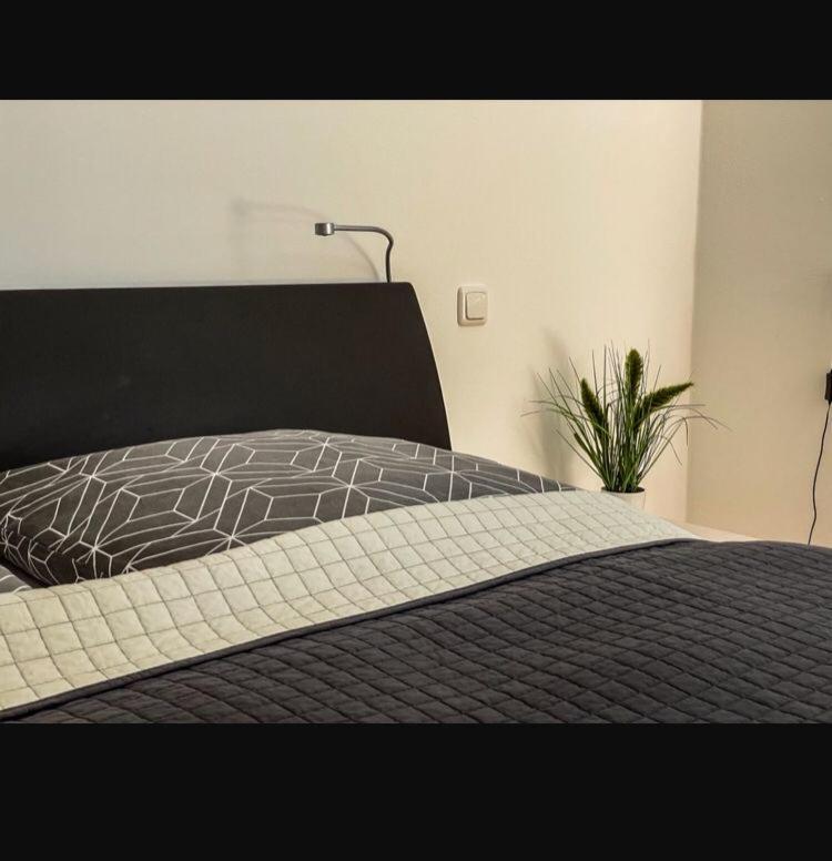 Zimmer - Modernes Apartment Mit 45 Qm. 施特劳宾 外观 照片
